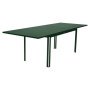 Costa uitschuifbare tuintafel 160/240x90 Cedar green