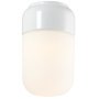 Ohm 100/170 plafond- en wandlamp retrofit Ø10 opaal wit