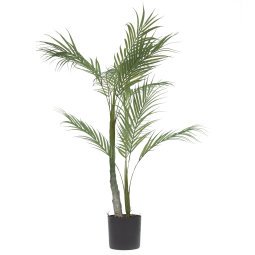 Palmera kunstplant 70