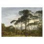 Golden Age Landscapes I behang (8 banen)