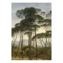 Golden Age Landscapes I behang (4 banen)