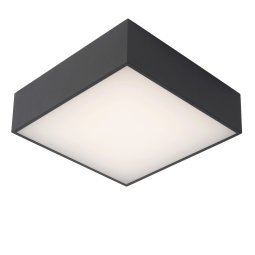 Roxane plafondlamp LED vierkant badkamer IP54