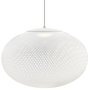 NR2 hanglamp Ø55 LED medium wit